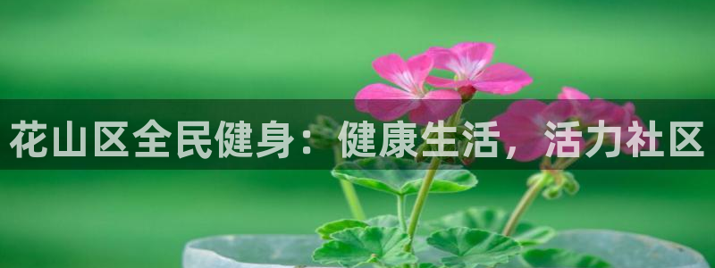 凯时登录首页,凯时K66：花山区全民健身：健康生活，活力