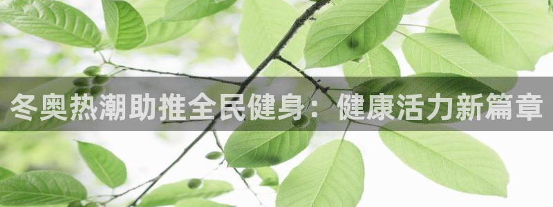 尊龙凯时网站首页手机登录：冬奥热潮助推全民健身：健康活力