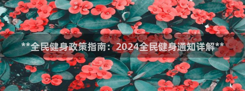 尊龙凯时人生就是搏官方网站：**全民健身政策指南：202